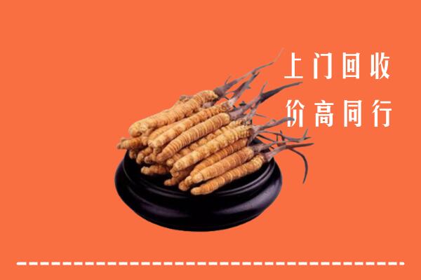 高价求购：宁波回收散虫草
